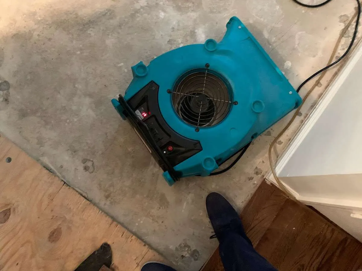 Air mover drying subfloor during Leak Detection & Repair in Wayne